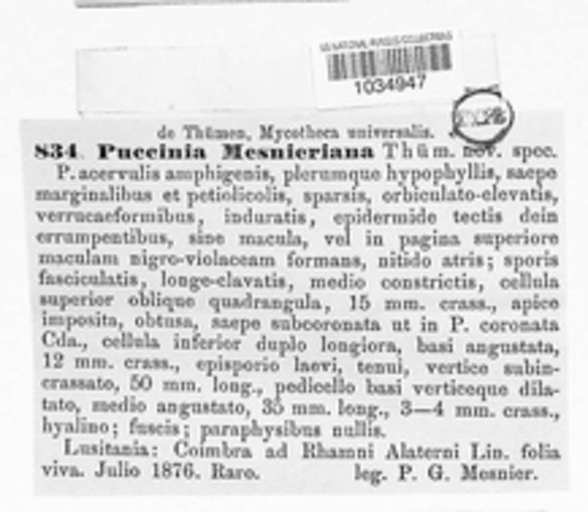 Puccinia mesnieriana image